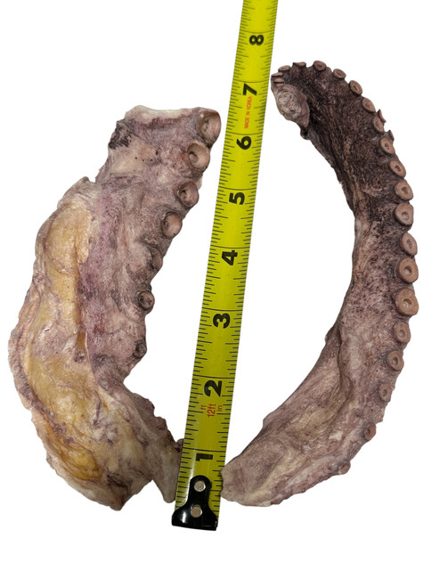 Choosing the Best High-Value Dog Treats for Training and Health