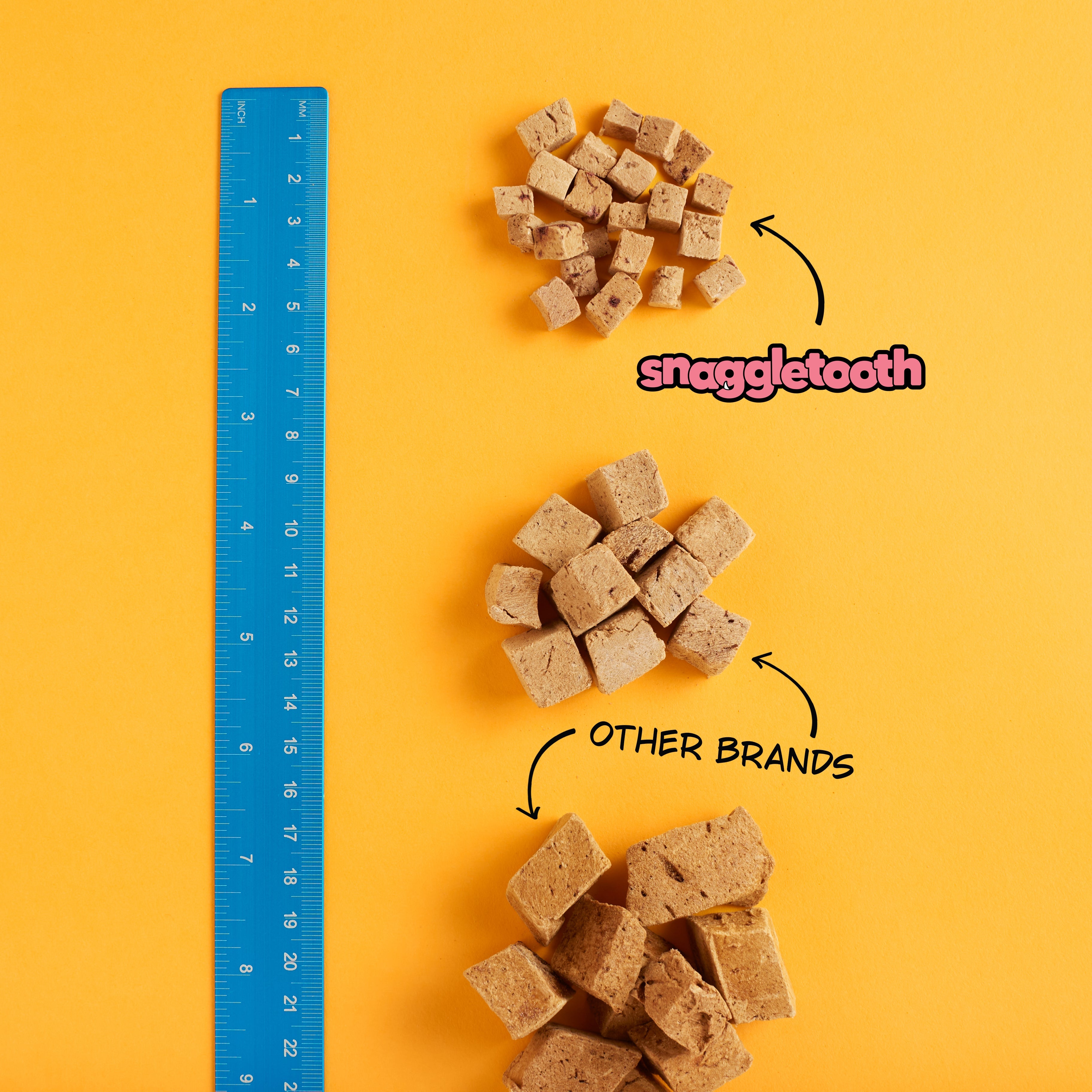 Navigate Treat Overload: Healthy & Safe High-Value Dog Treats